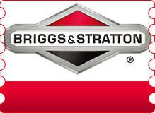 Briggs Stratton engine